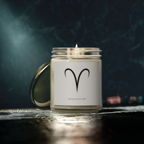 Zodiac Moods Scented Flames, Coconut Apricot Wax (4oz, 9oz) - Image 53